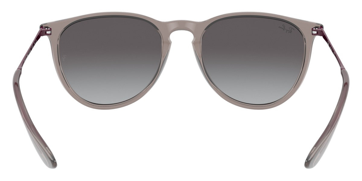 Ray-Ban® Erika RB4171 Sunglasses