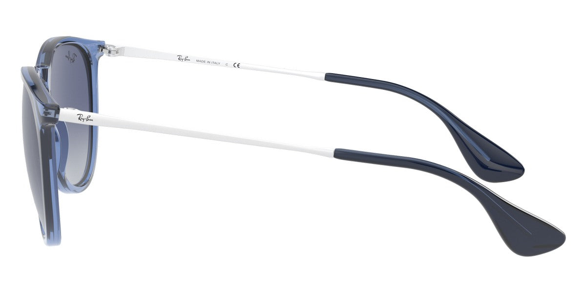 Ray-Ban® Erika RB4171 Sunglasses