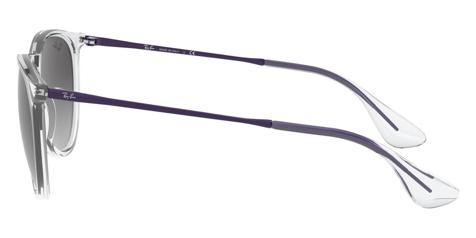 Ray-Ban® Erika RB4171 Sunglasses