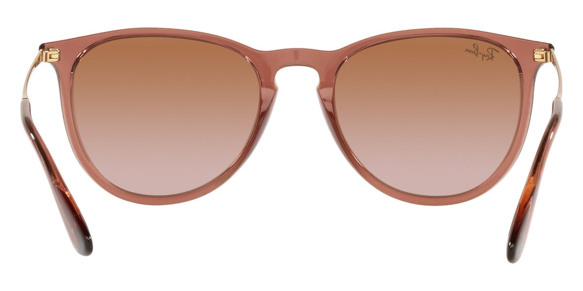 Ray-Ban® Erika RB4171 Sunglasses