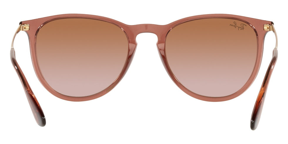 Ray-Ban® Erika RB4171 Sunglasses