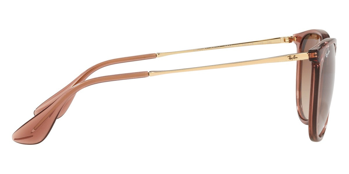 Ray-Ban® Erika RB4171 Sunglasses