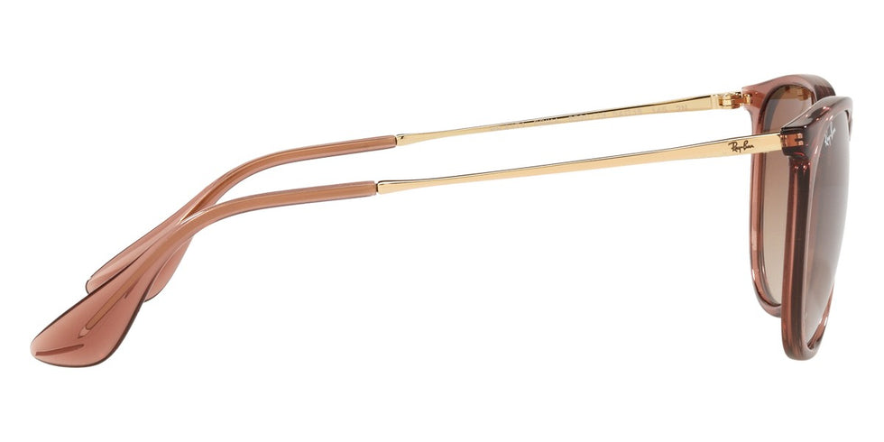 Ray-Ban® Erika RB4171 Sunglasses