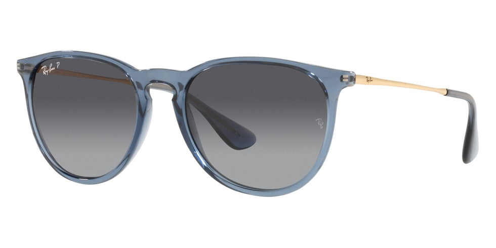 Ray-Ban® Erika RB4171 Sunglasses