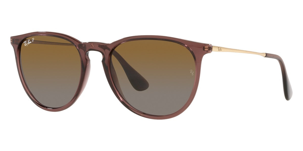 Ray-Ban® Erika RB4171 Sunglasses