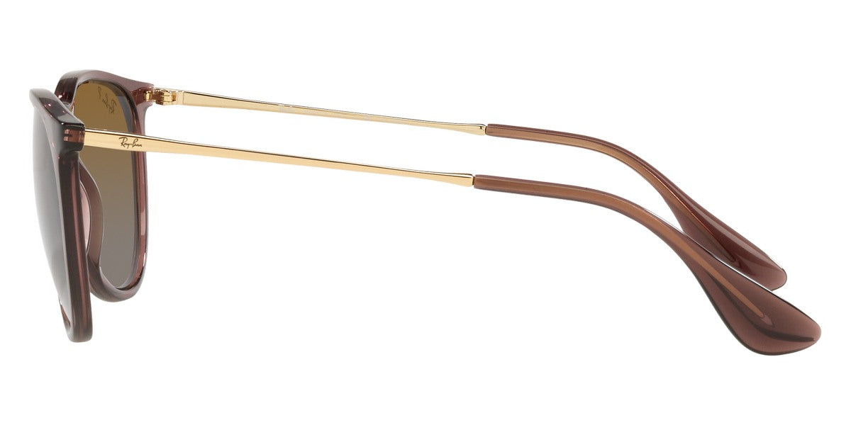 Ray-Ban® Erika RB4171 Sunglasses