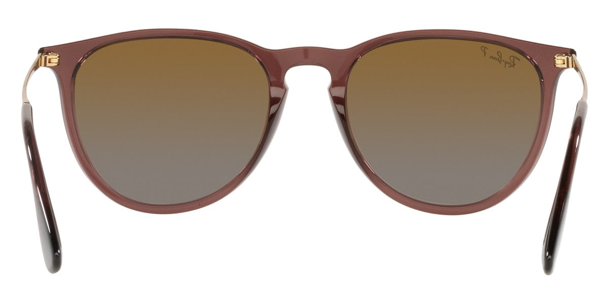Ray-Ban® Erika RB4171 Sunglasses