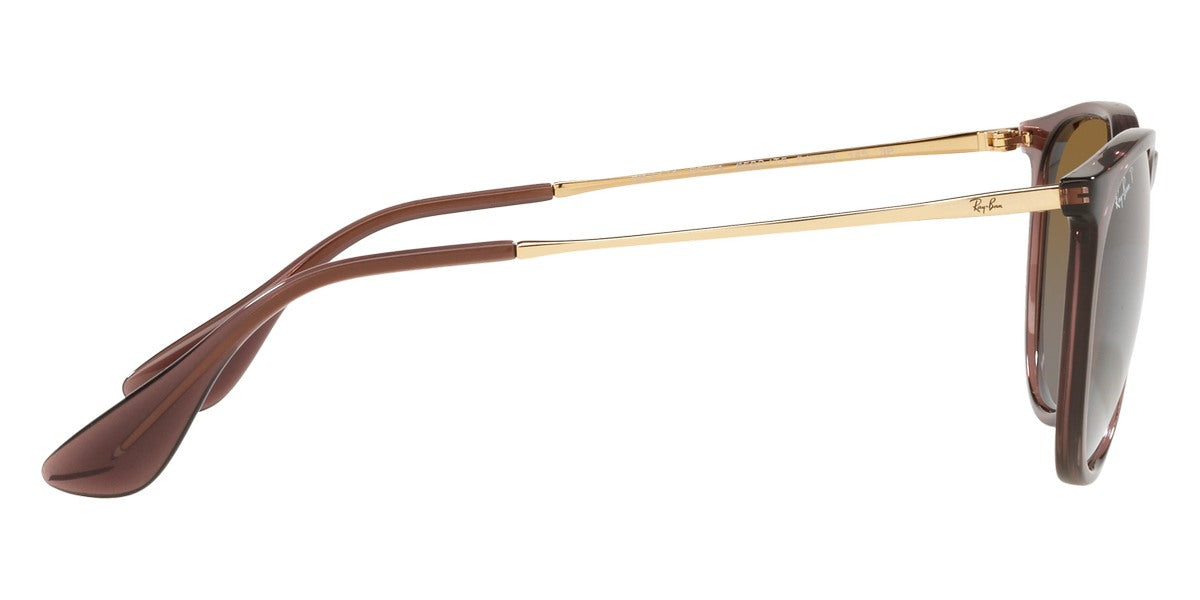 Ray-Ban® Erika RB4171 Sunglasses