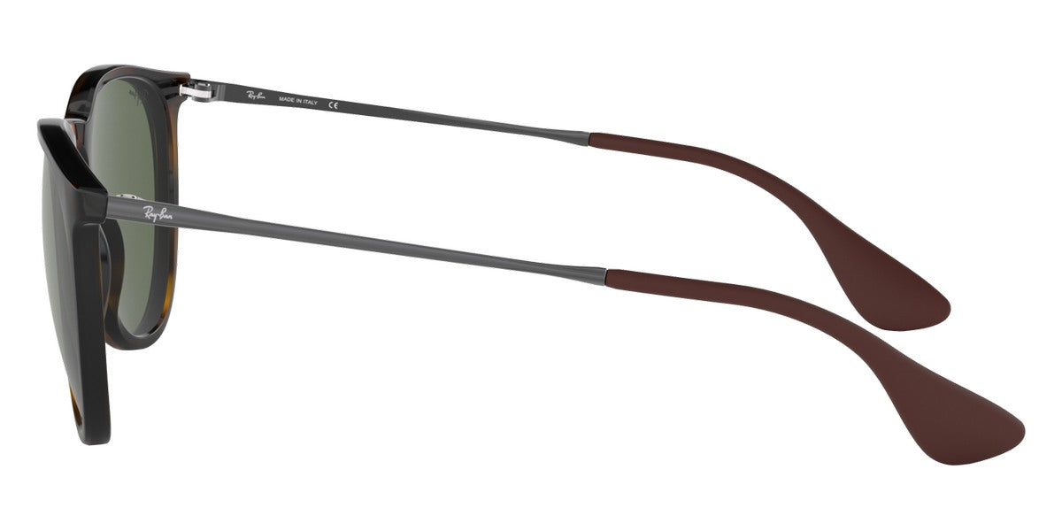 Ray-Ban® Erika RB4171 Sunglasses