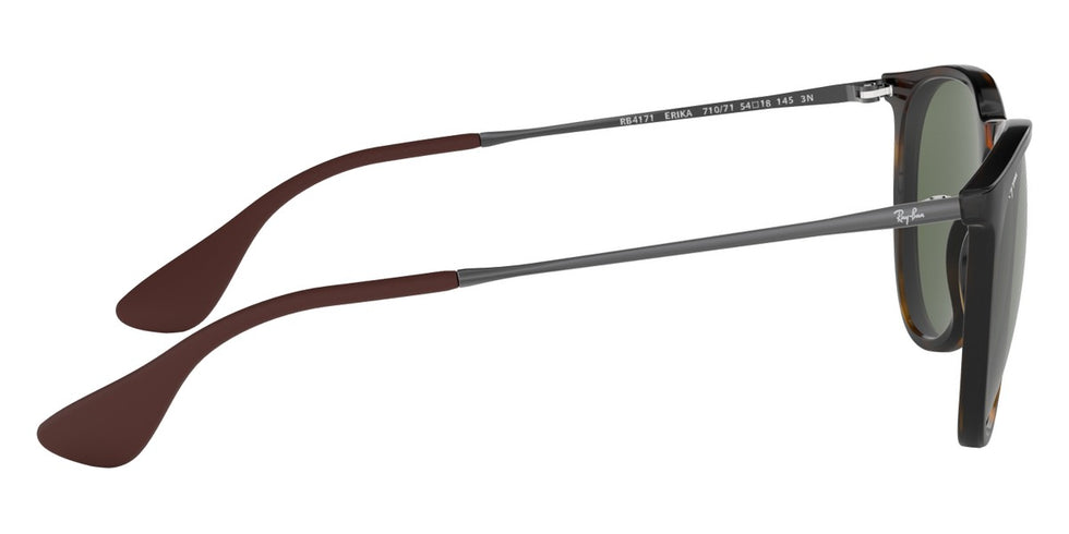 Ray-Ban® Erika RB4171 Sunglasses