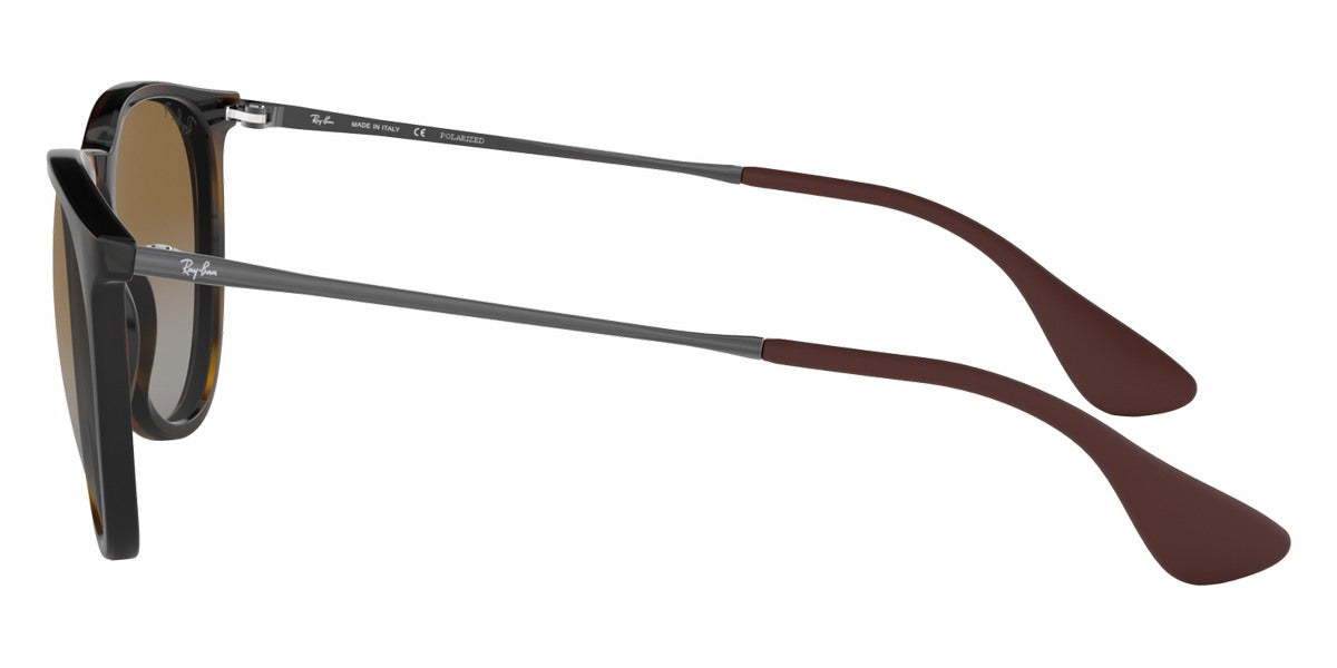 Ray-Ban® Erika RB4171 Sunglasses