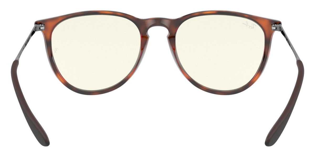 Ray-Ban® Erika RB4171 Sunglasses