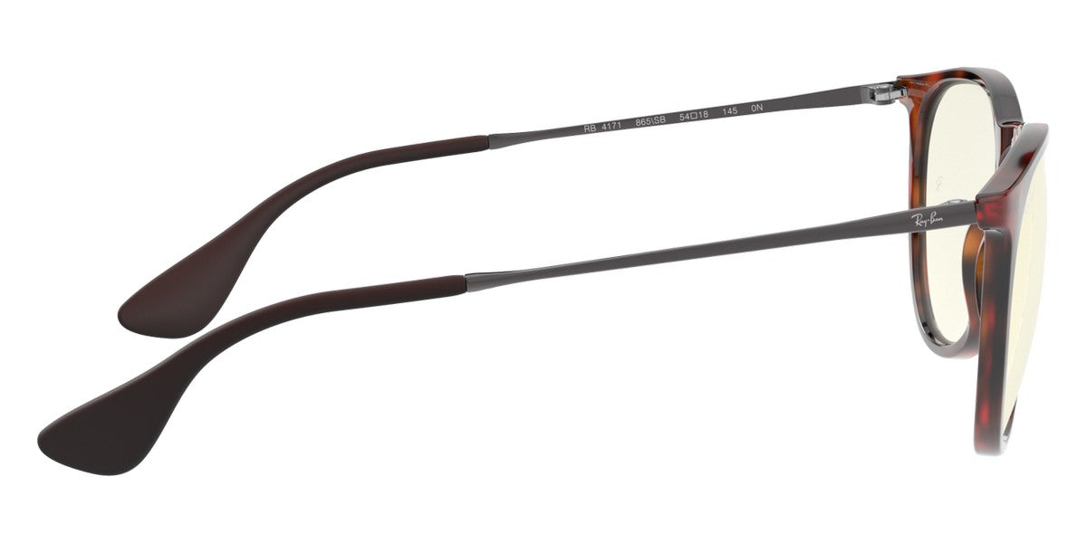 Ray-Ban® Erika RB4171 Sunglasses