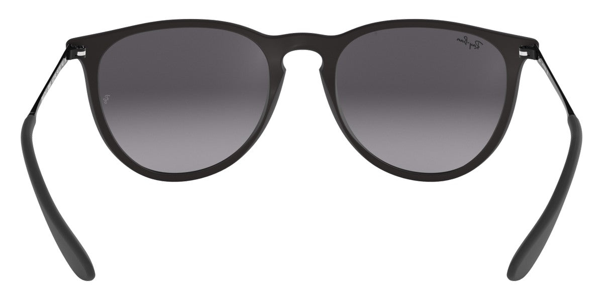 Ray-Ban® Erika RB4171F Sunglasses