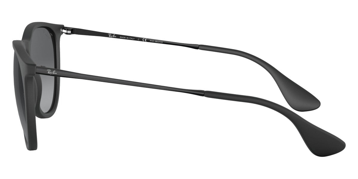 Ray-Ban® Erika RB4171F Sunglasses