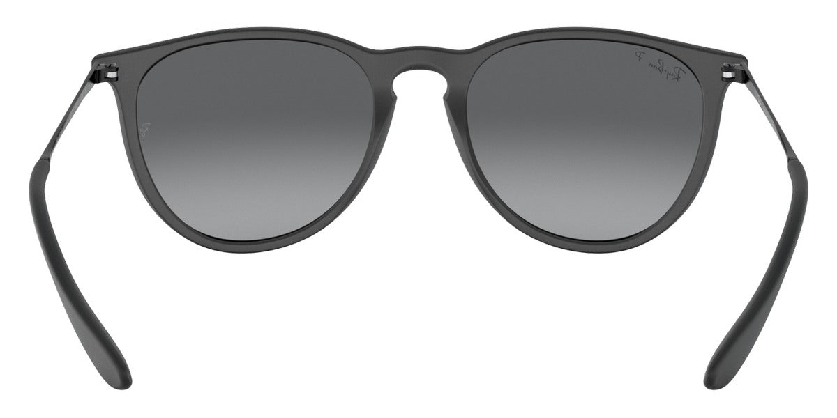 Ray-Ban® Erika RB4171F Sunglasses