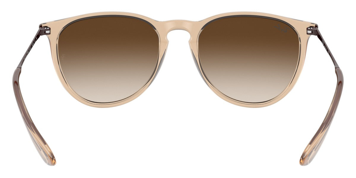 Ray-Ban® Erika RB4171F Sunglasses