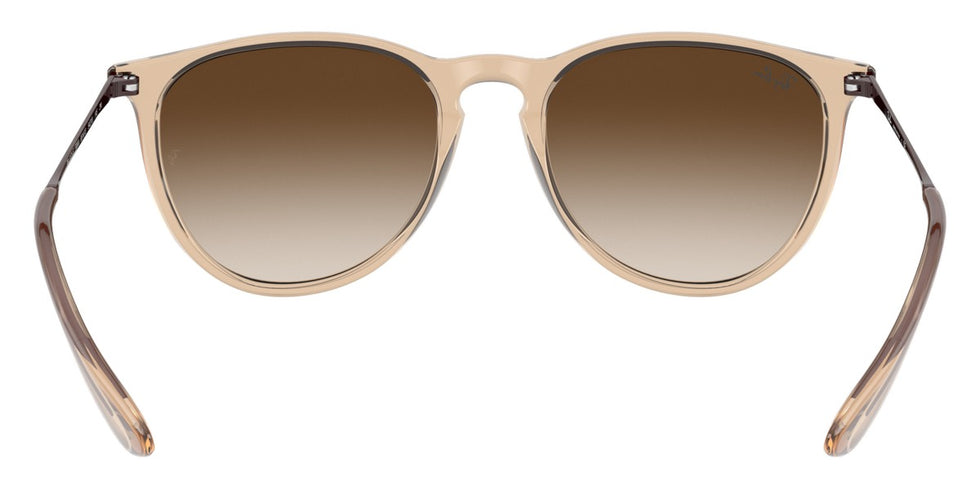 Ray-Ban® Erika RB4171F Sunglasses