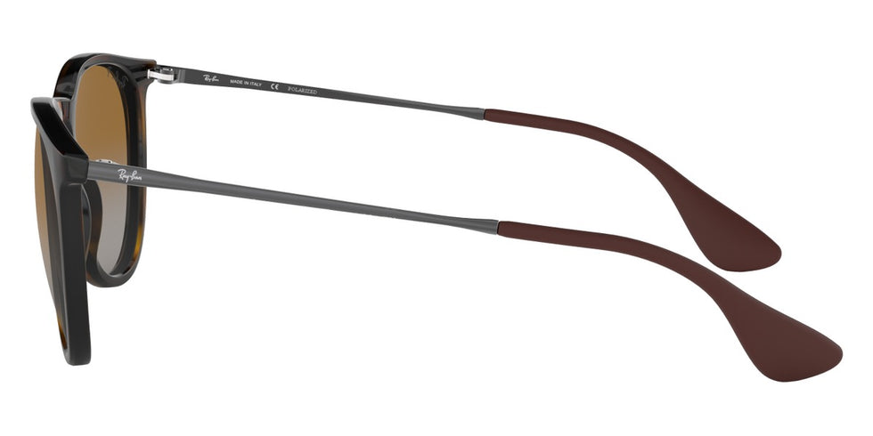 Ray-Ban® Erika RB4171F Sunglasses