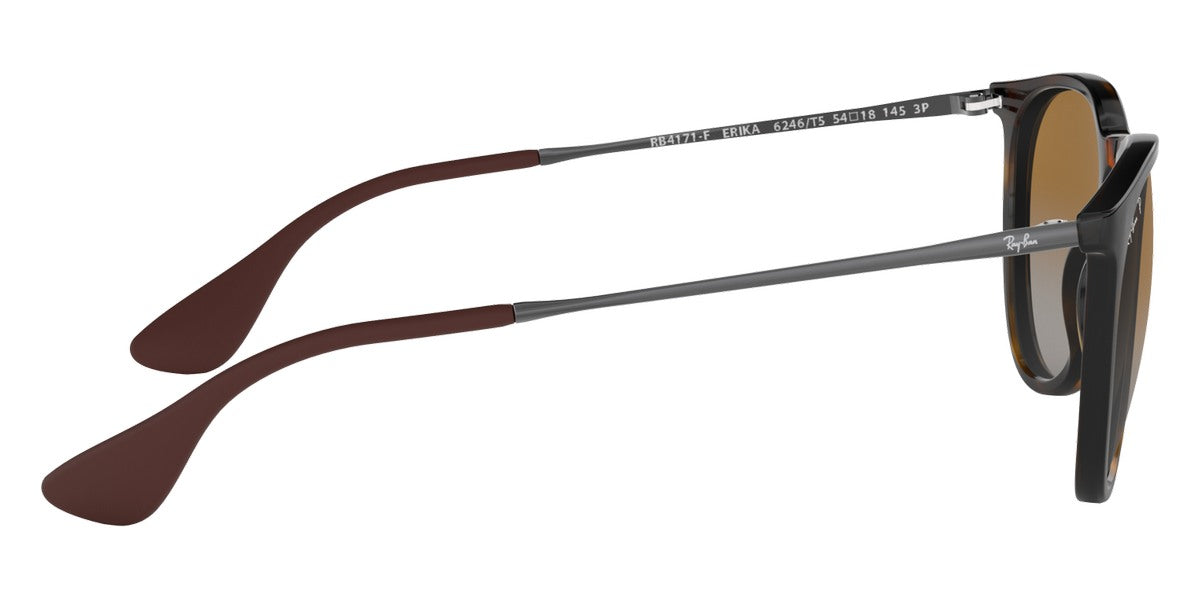 Ray-Ban® Erika RB4171F Sunglasses