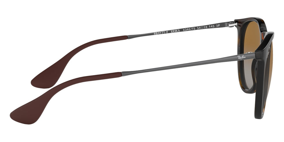 Ray-Ban® Erika RB4171F Sunglasses