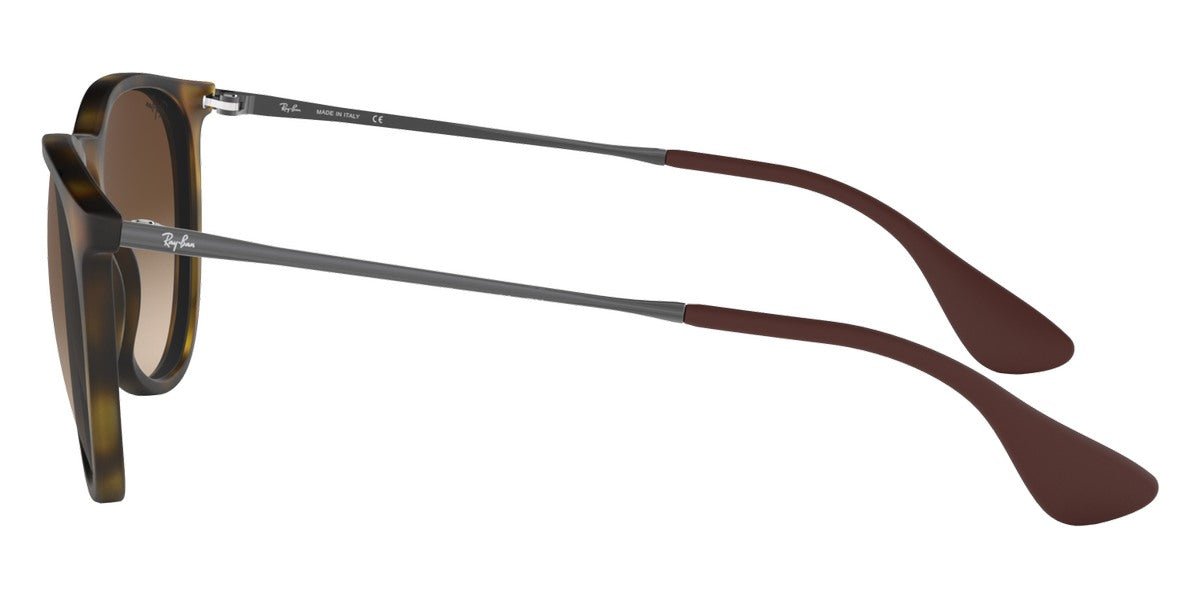 Ray-Ban® Erika RB4171F Sunglasses