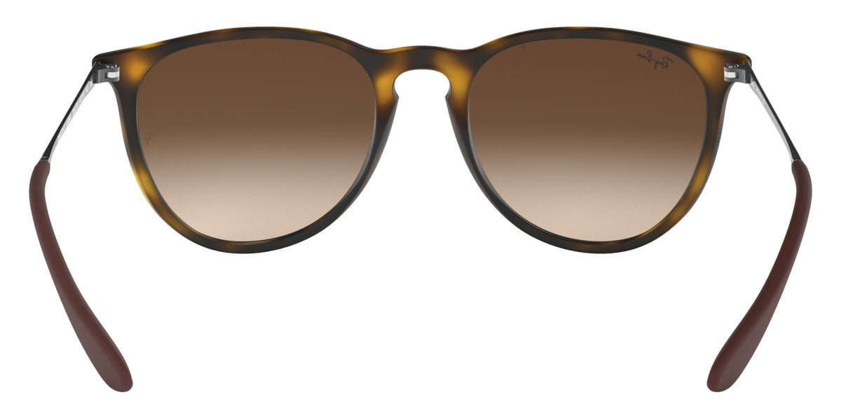 Ray-Ban® Erika RB4171F Sunglasses