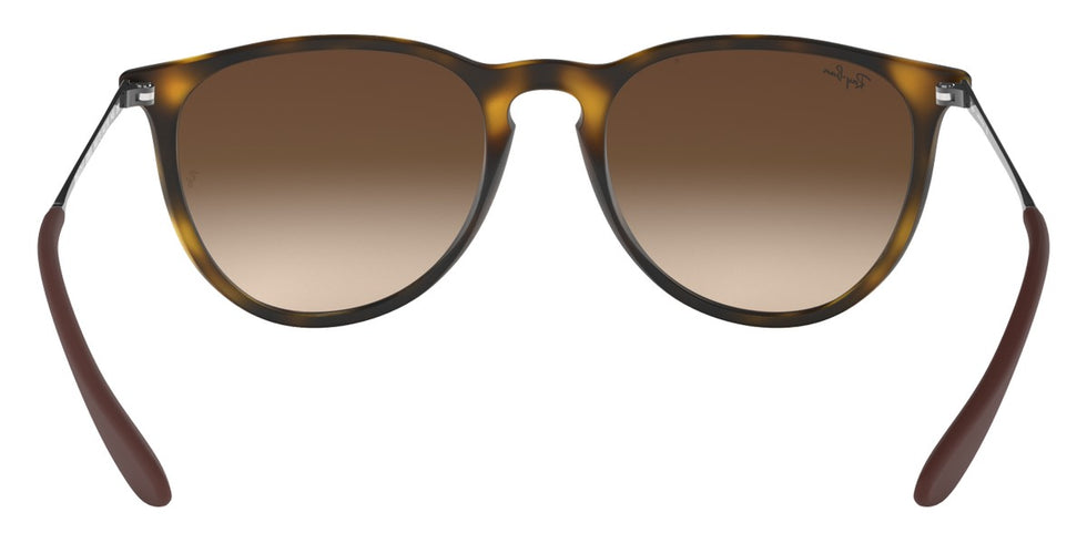 Ray-Ban® Erika RB4171F Sunglasses