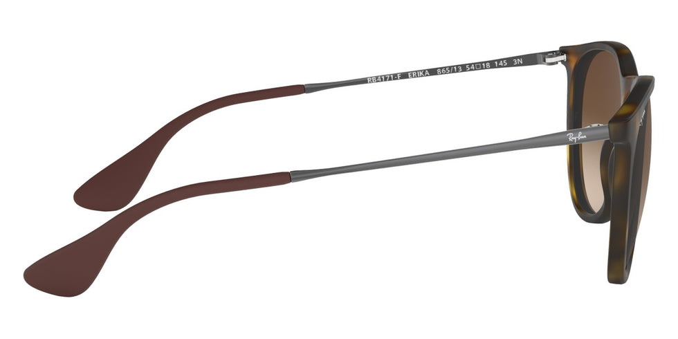 Ray-Ban® Erika RB4171F Sunglasses