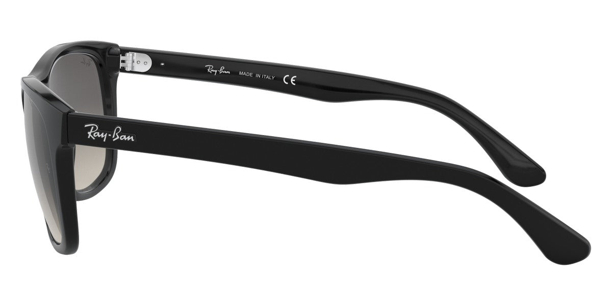 Ray-Ban® RB4181 Sunglasses