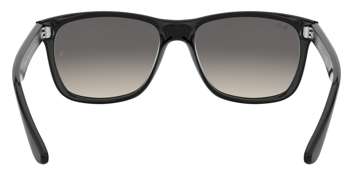 Ray-Ban® RB4181 Sunglasses