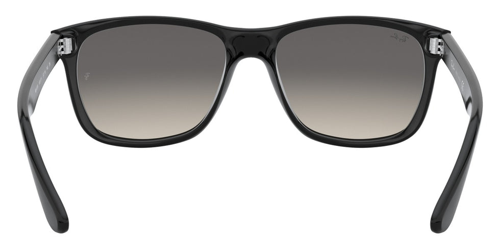 Ray-Ban® RB4181 Sunglasses
