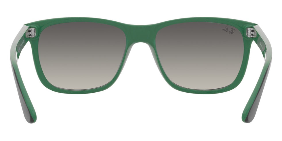 Ray-Ban® RB4181 Sunglasses