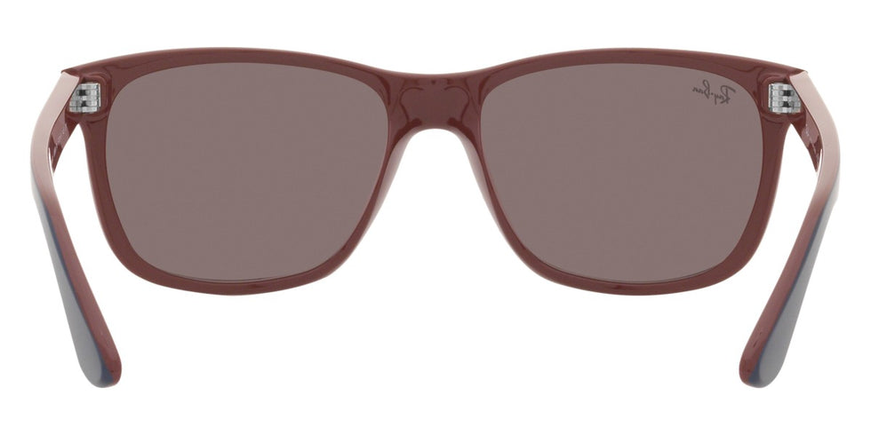Ray-Ban® RB4181 Sunglasses