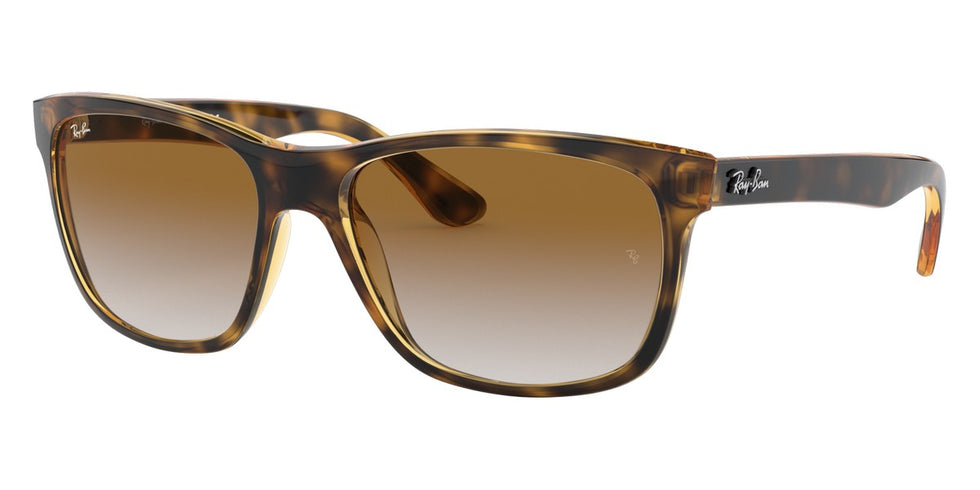 Ray-Ban® RB4181 Sunglasses