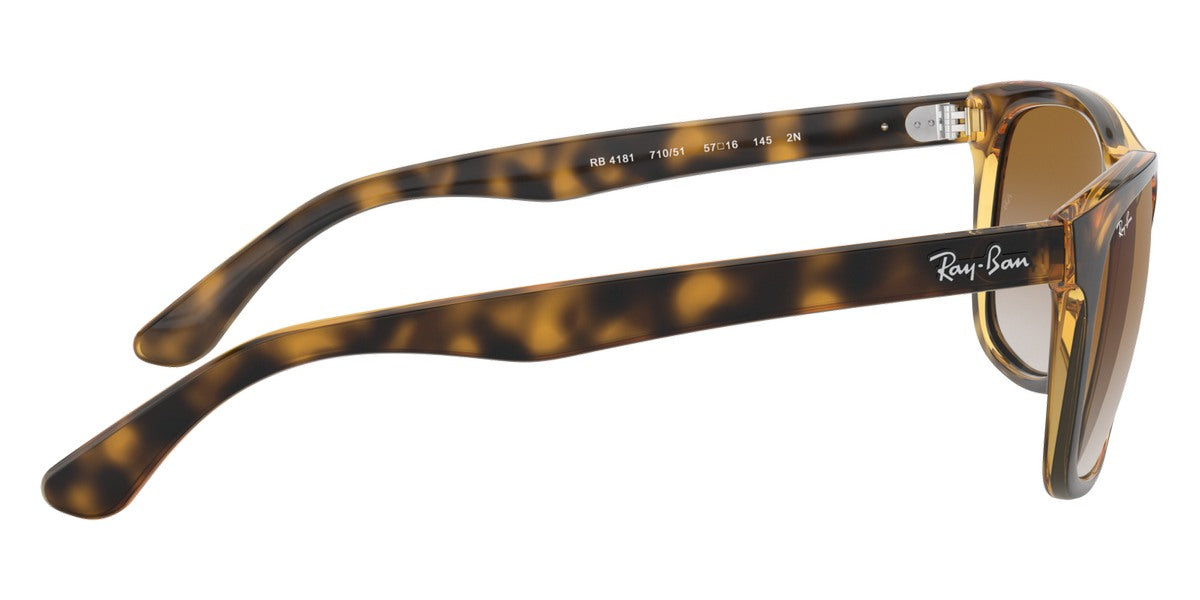 Ray-Ban® RB4181 Sunglasses