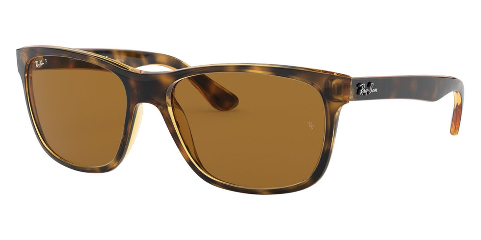 Ray-Ban® RB4181 Sunglasses