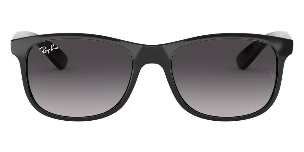 Ray-Ban® Andy RB4202 Sunglasses