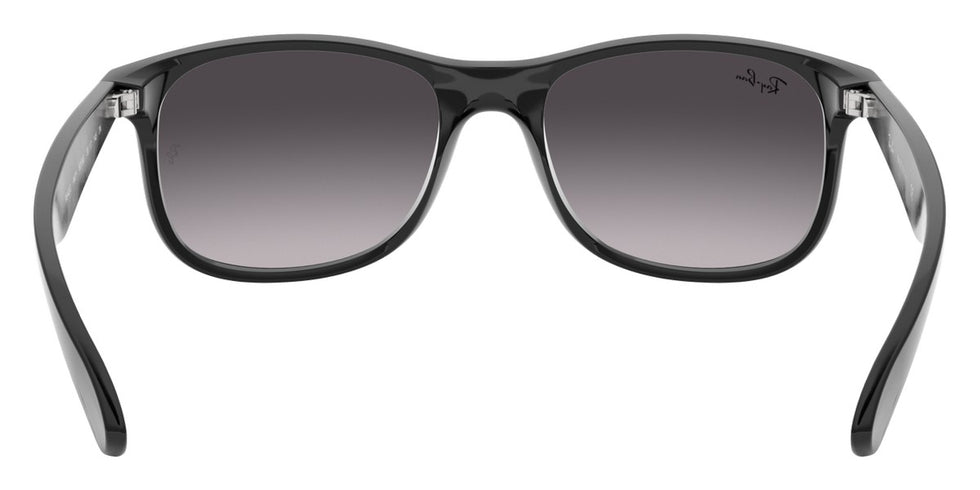 Ray-Ban® Andy RB4202 Sunglasses