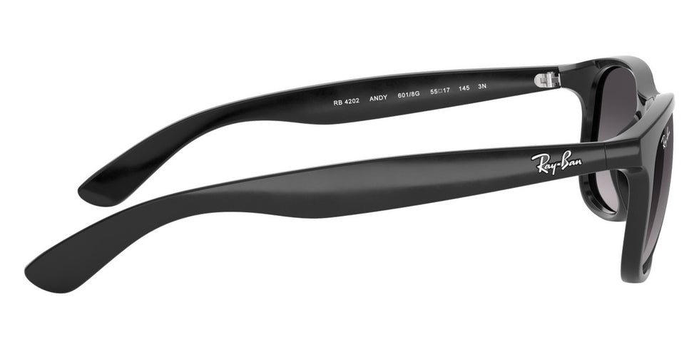 Ray-Ban® Andy RB4202 Sunglasses