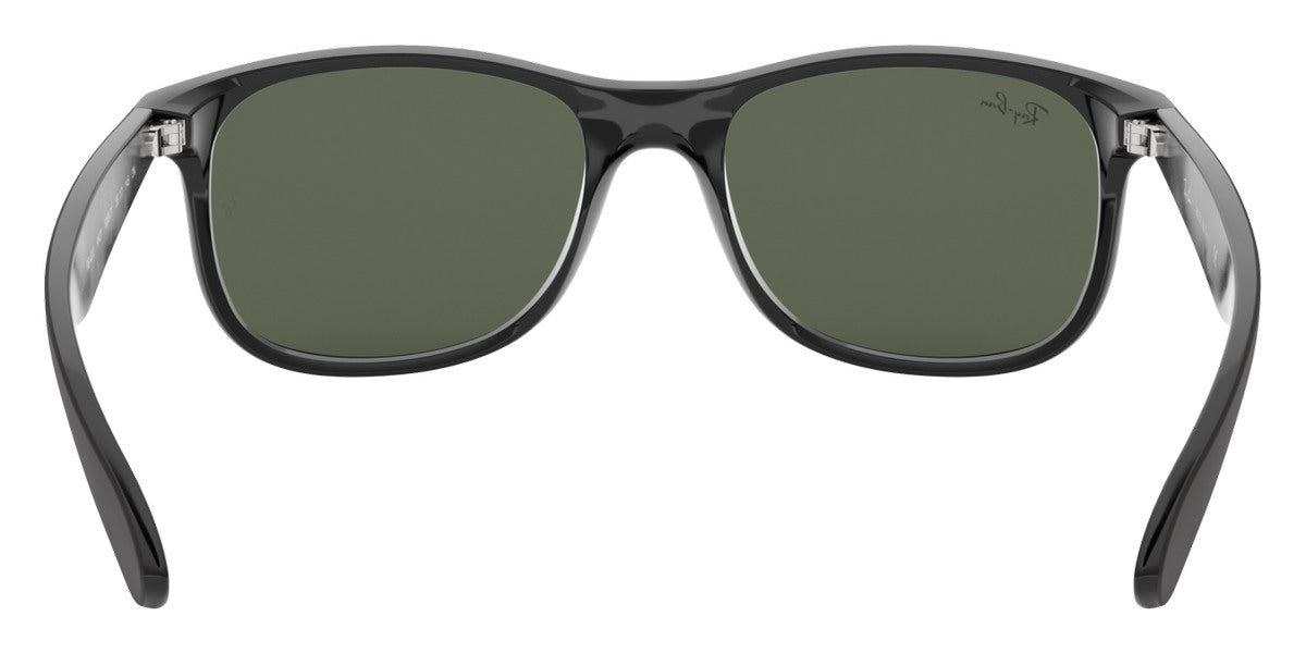 Ray-Ban® Andy RB4202 Sunglasses
