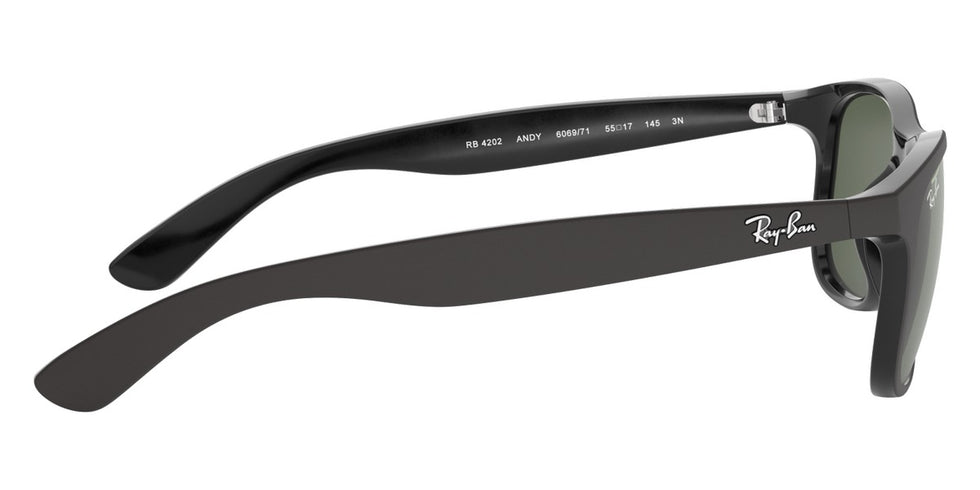 Ray-Ban® Andy RB4202 Sunglasses