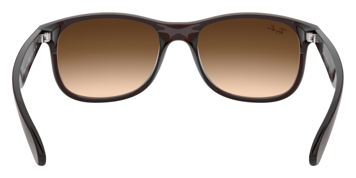 Ray-Ban® Andy RB4202 Sunglasses