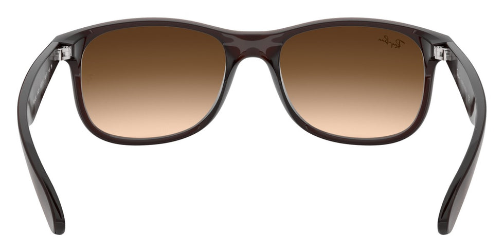 Ray-Ban® Andy RB4202 Sunglasses