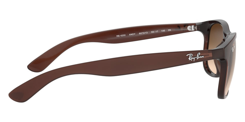 Ray-Ban® Andy RB4202 Sunglasses