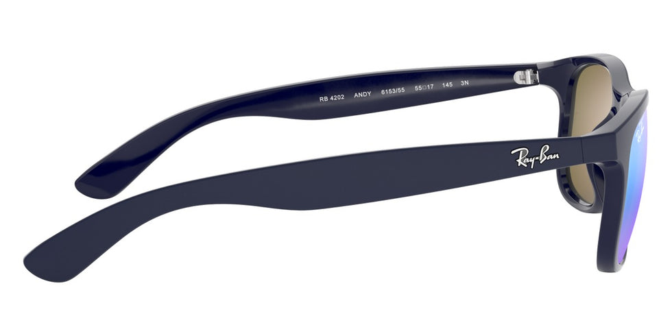 Ray-Ban® Andy RB4202 Sunglasses