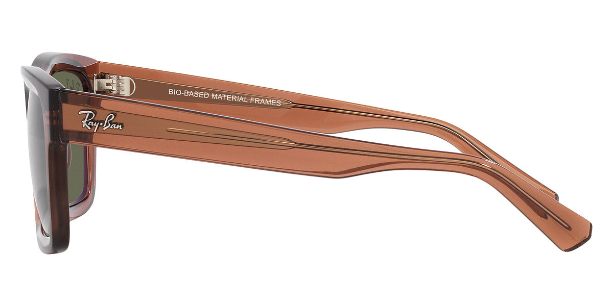 Ray-Ban® Warren RB4396 Sunglasses