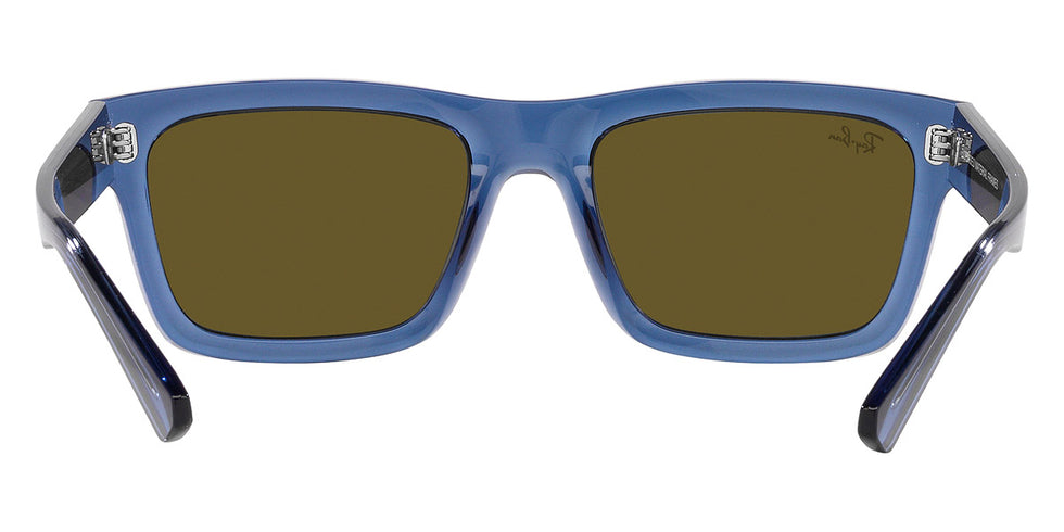 Ray-Ban® Warren RB4396 Sunglasses