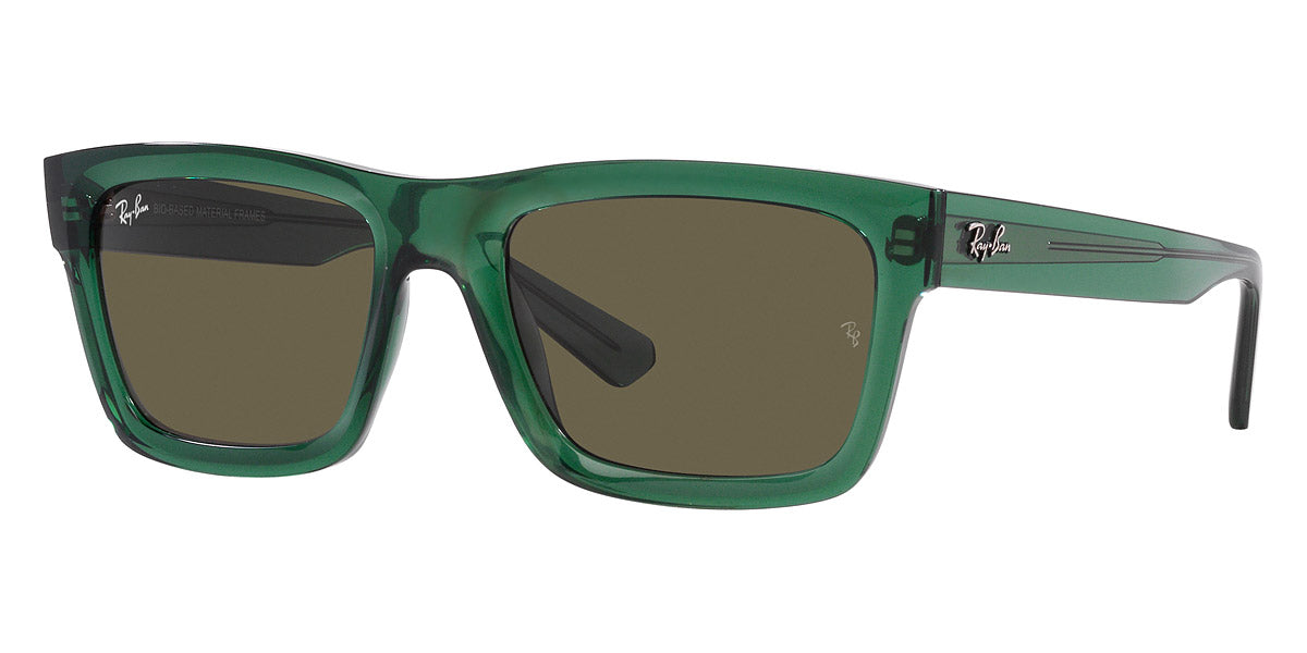 Ray-Ban® Warren RB4396 Sunglasses