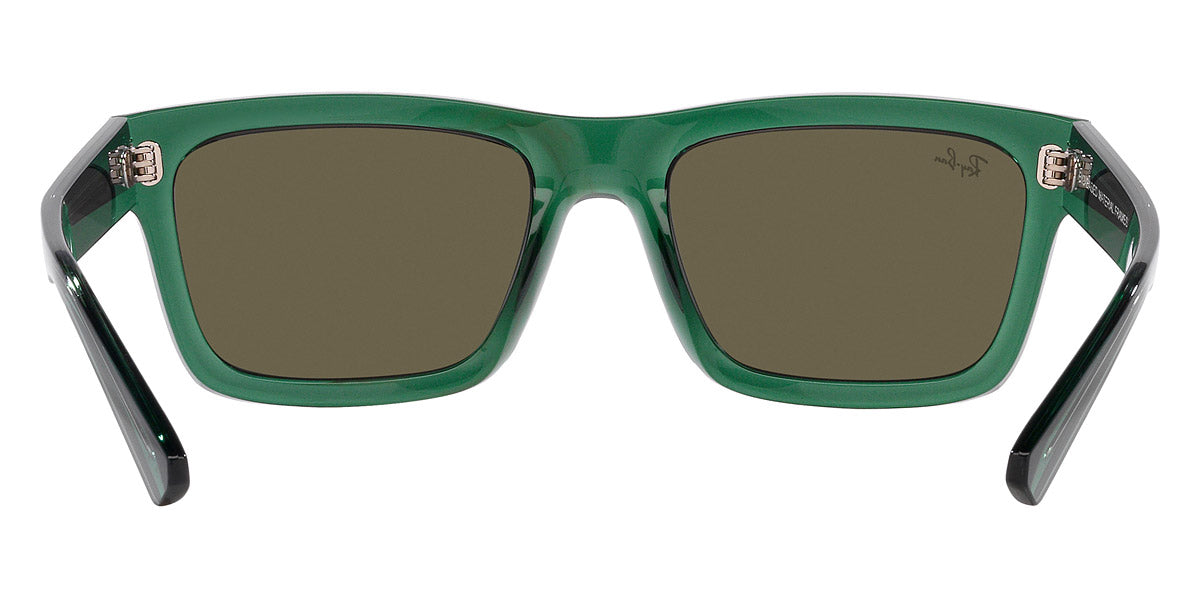Ray-Ban® Warren RB4396 Sunglasses